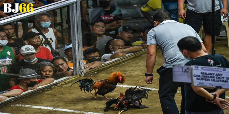 Bỏ túi trọn bộ những bí kíp hiệu quả theo góc nhìn